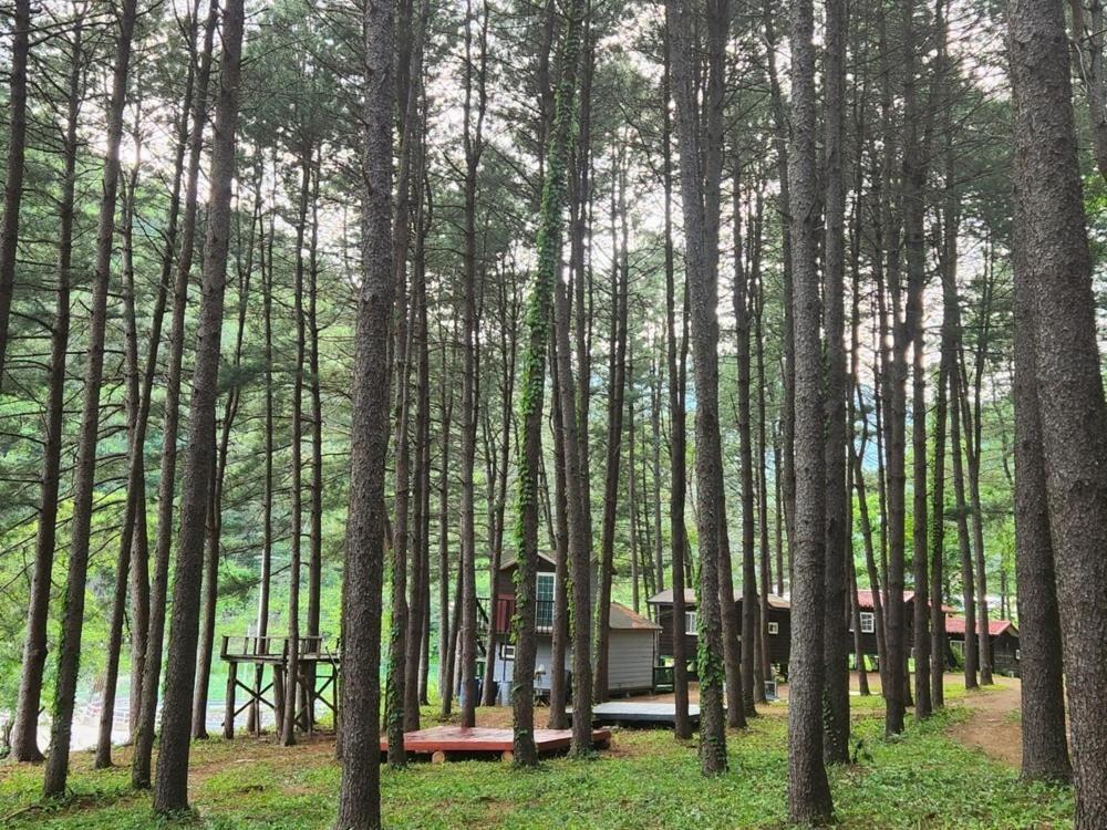 Hongcheon Gongjaksan Recreational Forest Pension Exteriör bild