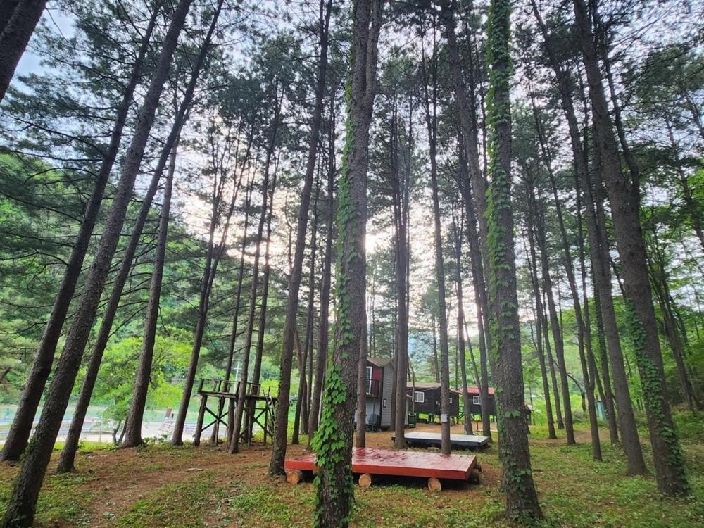 Hongcheon Gongjaksan Recreational Forest Pension Exteriör bild